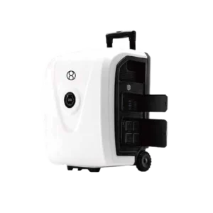 Rechargeable Moveable NMC Battery