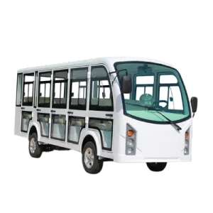 Mini Electris Bus