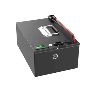 48V 60Ah Portable LiFePO₄ Battery