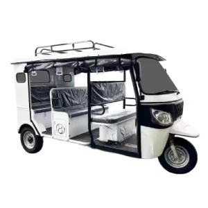 Compact City Electric Auto