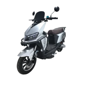 Heavy-Duty Delivery EV Scooter