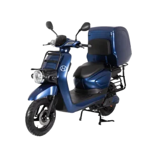 Eco-Friendly Delivery EV Scooter