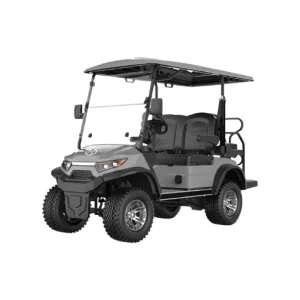 Luxury Electric Golf Cart