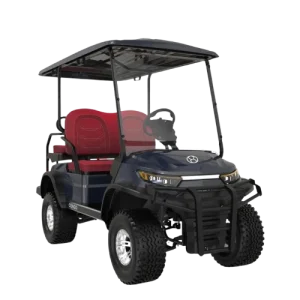 Long-Haul Electric Golf Cart