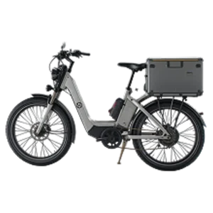 Cargo Bike