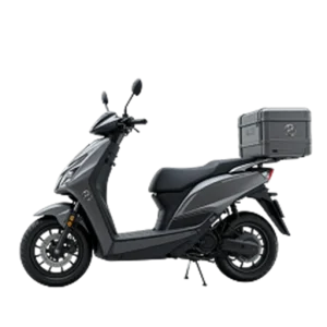 Delivery Scooter