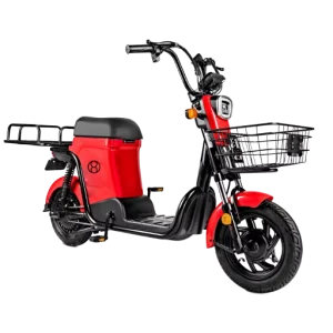 Urban Electric Delivery bike