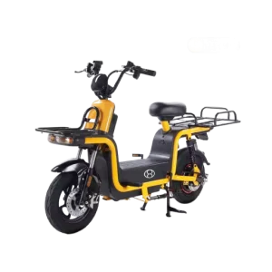 Smart Electric Food Delivery Bike
