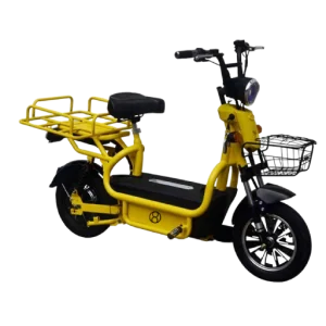 Electric Food Delivery Moped