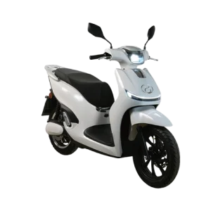 Adventure Urban Electric Scooter
