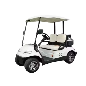 High-Speed Electric Golf Cart