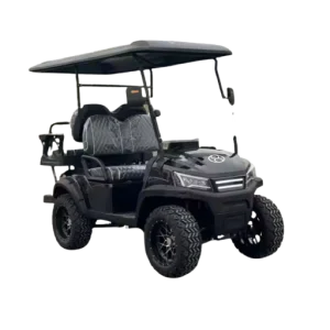 Smart Electric Golf Cart