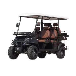 Premium Electric Golf Cart