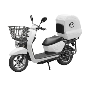 Compact Delivery Scooter