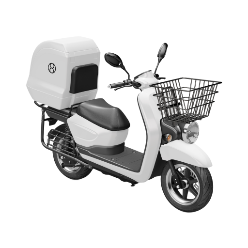 Electric Delivery Scooter