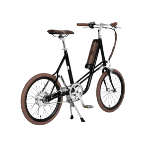 Electric Classic Cycle