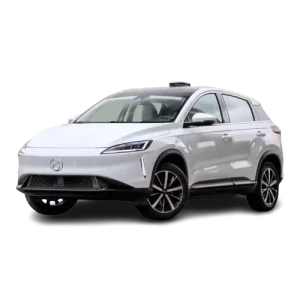 Eco-Friendly Family Car