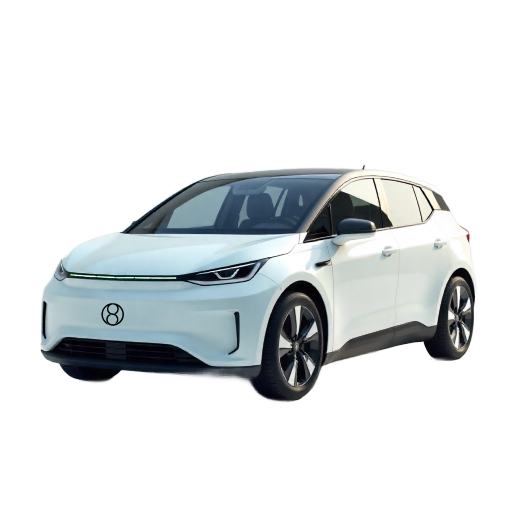 Electric Passenger Car