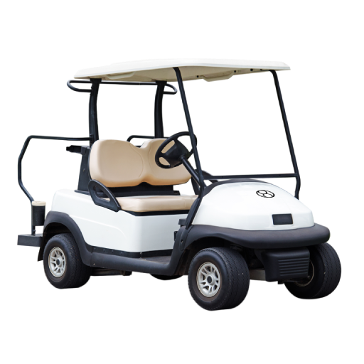 Compact Electric Buggies