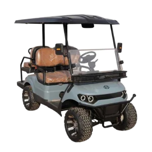 Mountain Explorer Electric Buggies