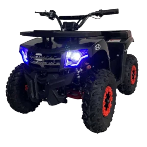 Extreme Performance Electric Quad Bike
