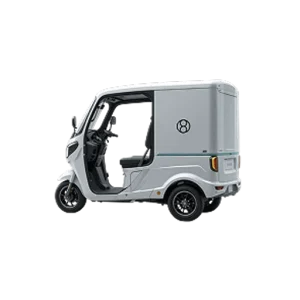 Electric 3-Wheeler Cargo Auto