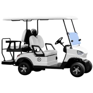 Eco-Friendly Electric Buggies