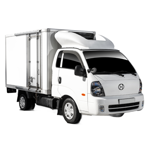 Refrigerated Mini Van