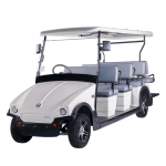 Electric Buggies