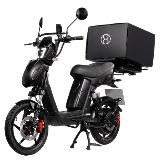 EcoMove Electric Delivery Bike