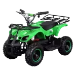 Electric Quad Bike
