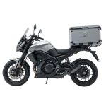 Electric Delivery Bike