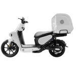 Electric Delivery Scooters